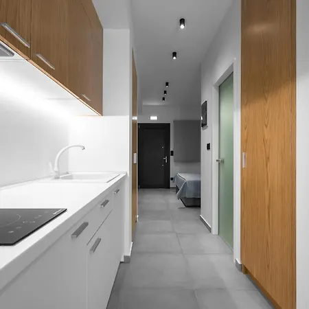 Appartamento Rothos Luxury