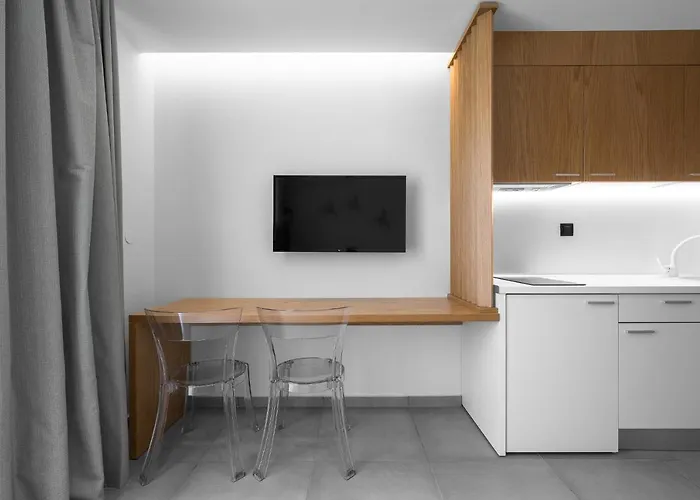 公寓 Rothos Luxury *