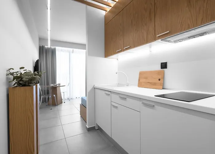 公寓 Rothos Luxury 斯塔夫罗斯