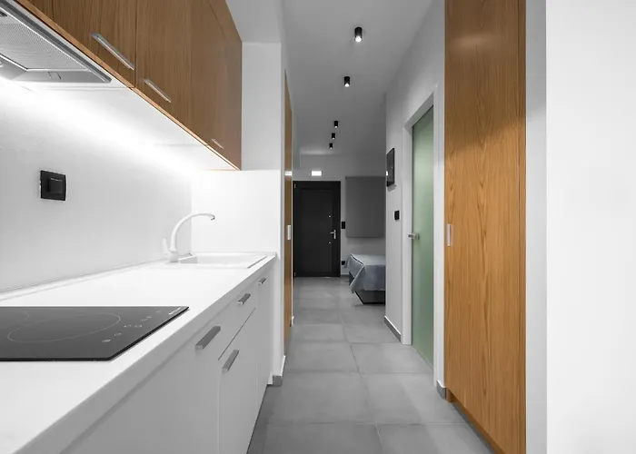 公寓 Rothos Luxury