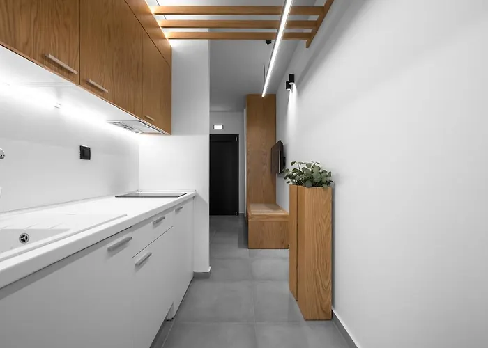 公寓 Rothos Luxury *