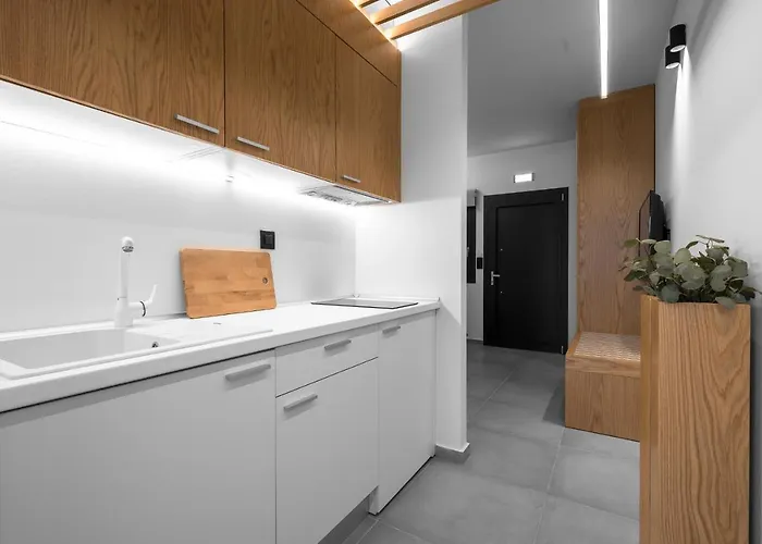 公寓 Rothos Luxury